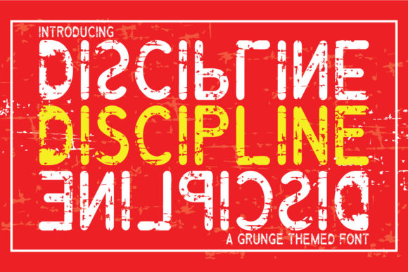 How Discipline Font Transformed My Brand’s Visual Identity