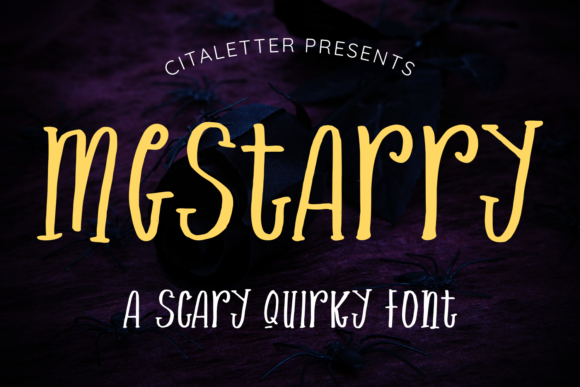How Mestarry Transformed My Brand’s Visual Identity