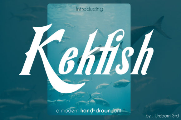 Kekfish: A Bold Display Font for Modern Campaigns