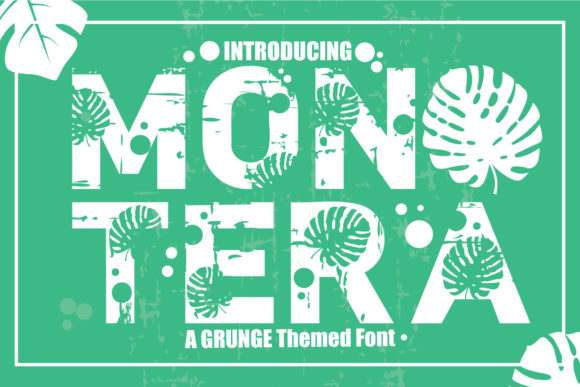 Mon Tera: A Bold Display Font for Digital Branding