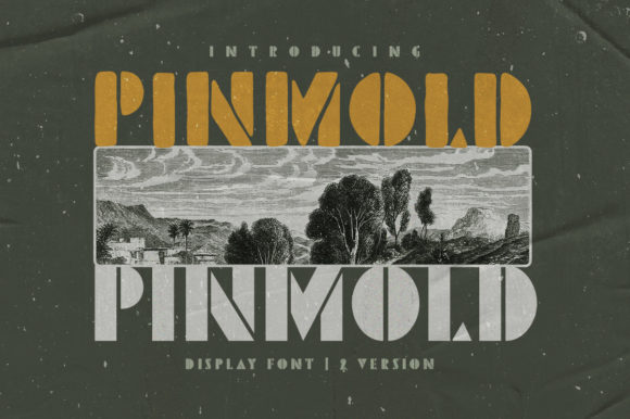 Pinmold: A Bold Display Font for Digital Branding