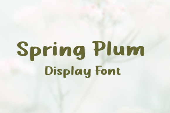 Spring Plum Font for Campaign Creatives