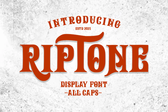Testing Riptone for a Modern Website Design